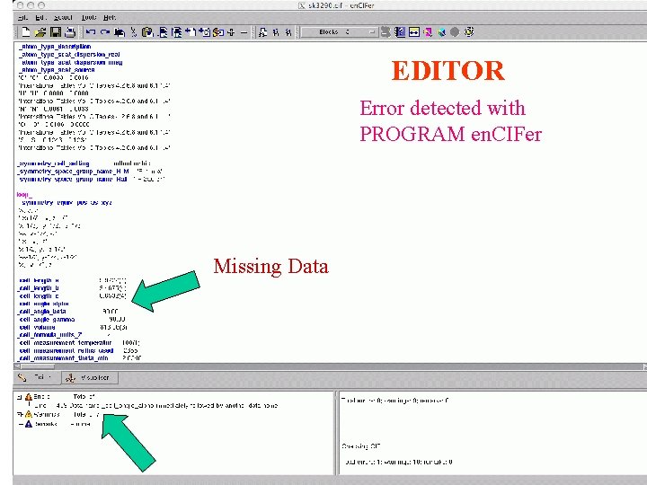 EDITOR Error detected with PROGRAM en. CIFer Missing Data 