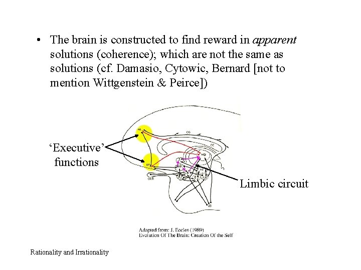  • The brain is constructed to find reward in apparent solutions (coherence); which