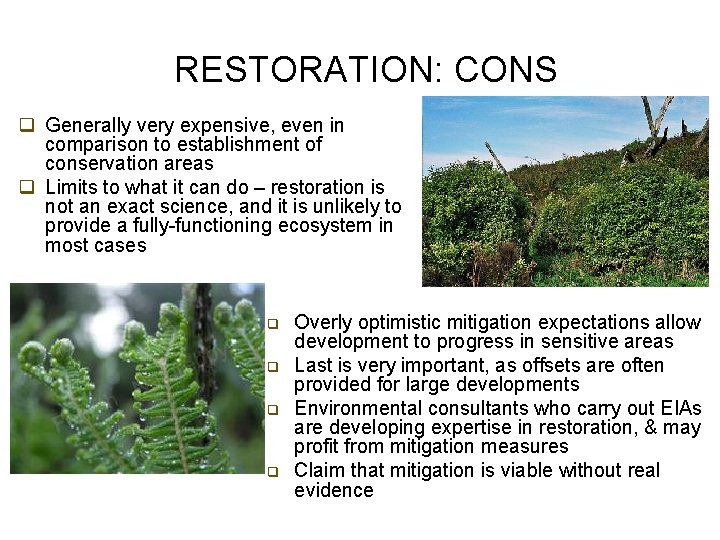 RESTORATION: CONS q Generally very expensive, even in comparison to establishment of conservation areas