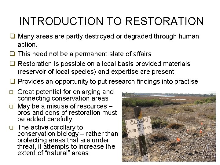INTRODUCTION TO RESTORATION q Many areas are partly destroyed or degraded through human action.