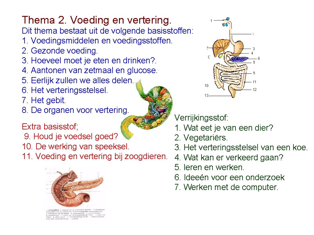 Thema 2. Voeding en vertering. Dit thema bestaat uit de volgende basisstoffen: 1. Voedingsmiddelen