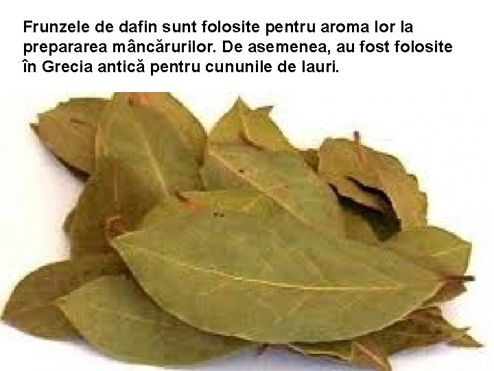 Frunzele de dafin sunt folosite pentru aroma lor la prepararea mâncărurilor. De asemenea, au Frunzele de dafin sunt folosite pentru aroma lor la prepararea mâncărurilor. De asemenea, au