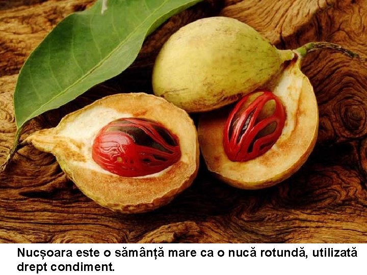 Nucșoara este o sămânță mare ca o nucă rotundă, utilizată drept condiment. Nucșoara este o sămânță mare ca o nucă rotundă, utilizată drept condiment.