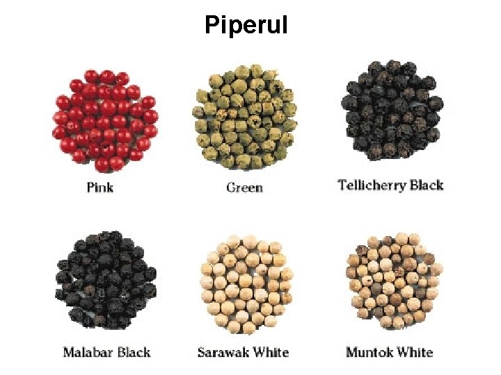 Piperul Piperul