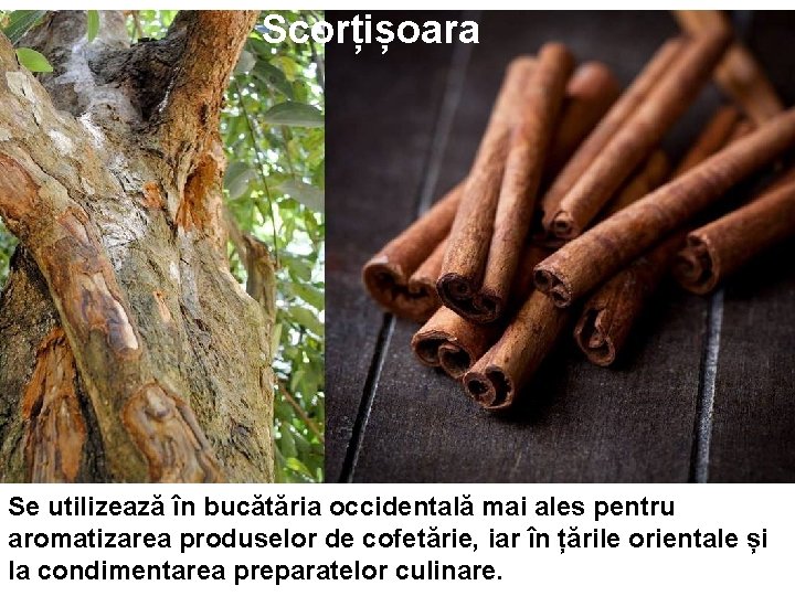 Scorțișoara Se utilizează în bucătăria occidentală mai ales pentru aromatizarea produselor de cofetărie, iar Scorțișoara Se utilizează în bucătăria occidentală mai ales pentru aromatizarea produselor de cofetărie, iar