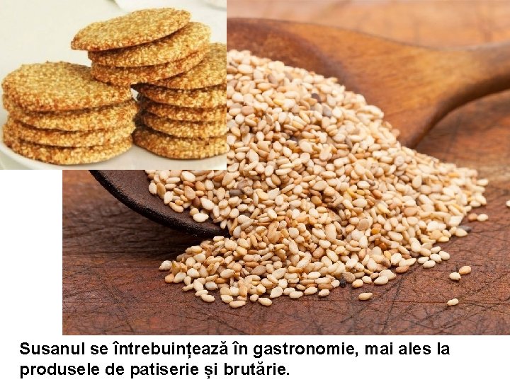 Susanul se întrebuințează în gastronomie, mai ales la produsele de patiserie și brutărie. Susanul se întrebuințează în gastronomie, mai ales la produsele de patiserie și brutărie.