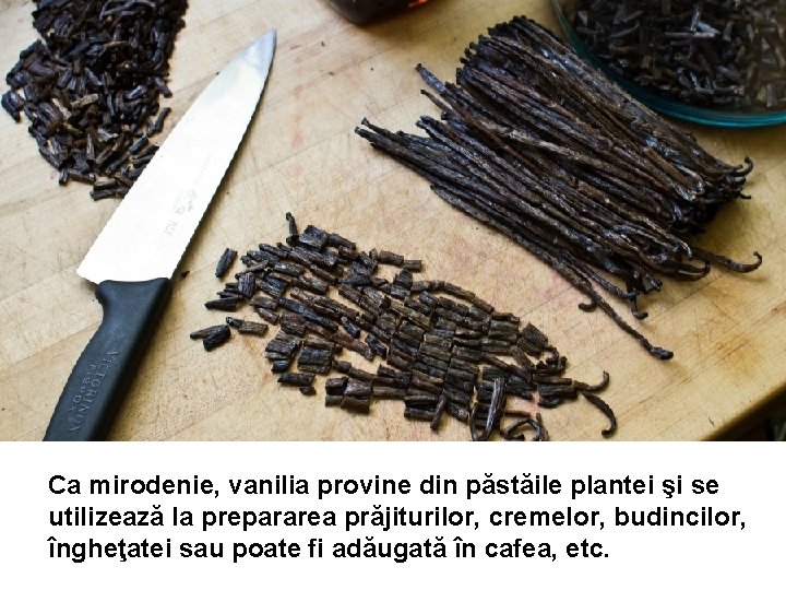 Ca mirodenie, vanilia provine din păstăile plantei şi se utilizează la prepararea prăjiturilor, cremelor, Ca mirodenie, vanilia provine din păstăile plantei şi se utilizează la prepararea prăjiturilor, cremelor,