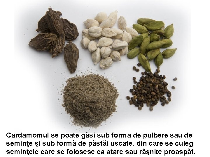 Cardamomul se poate găsi sub forma de pulbere sau de seminţe şi sub formă Cardamomul se poate găsi sub forma de pulbere sau de seminţe şi sub formă