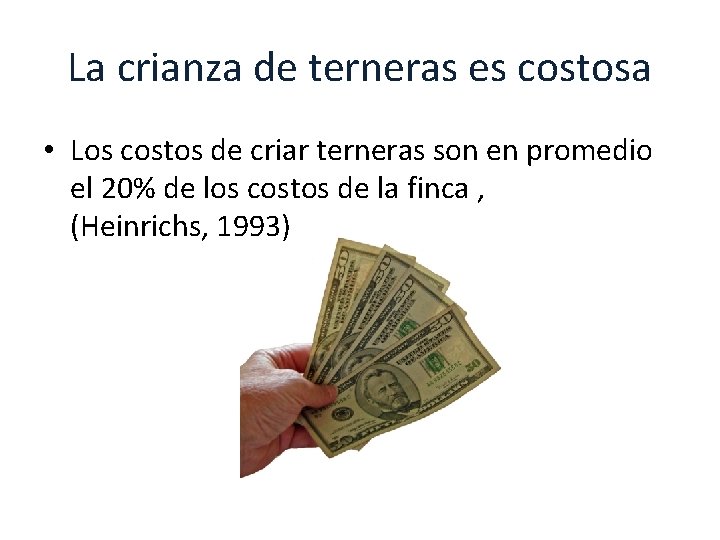 La crianza de terneras es costosa • Los costos de criar terneras son en