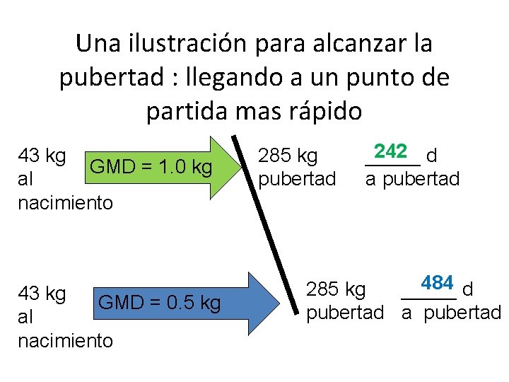 Una ilustración para alcanzar la pubertad : llegando a un punto de partida mas