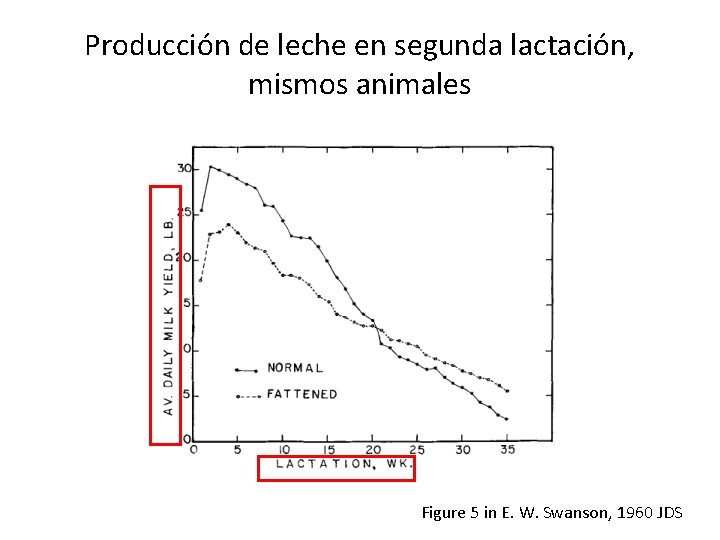 Producción de leche en segunda lactación, mismos animales Figure 5 in E. W. Swanson,