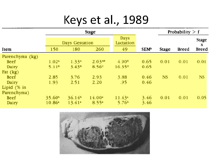 Keys et al. , 1989 