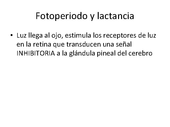 Fotoperiodo y lactancia • Luz llega al ojo, estimula los receptores de luz en