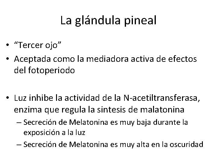 La glándula pineal • “Tercer ojo” • Aceptada como la mediadora activa de efectos