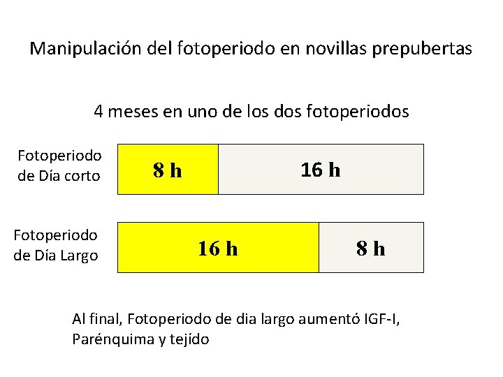 Manipulación del fotoperiodo en novillas prepubertas 4 meses en uno de los dos fotoperiodos