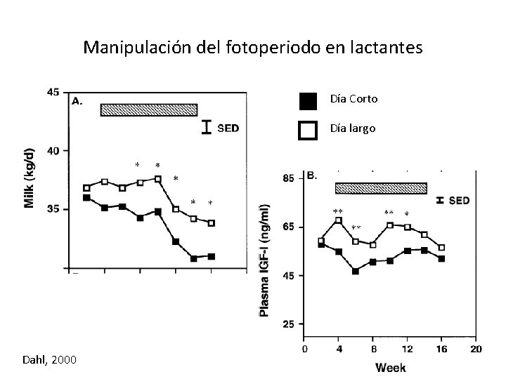 Manipulación del fotoperiodo en lactantes Día Corto Día largo Dahl, 2000 