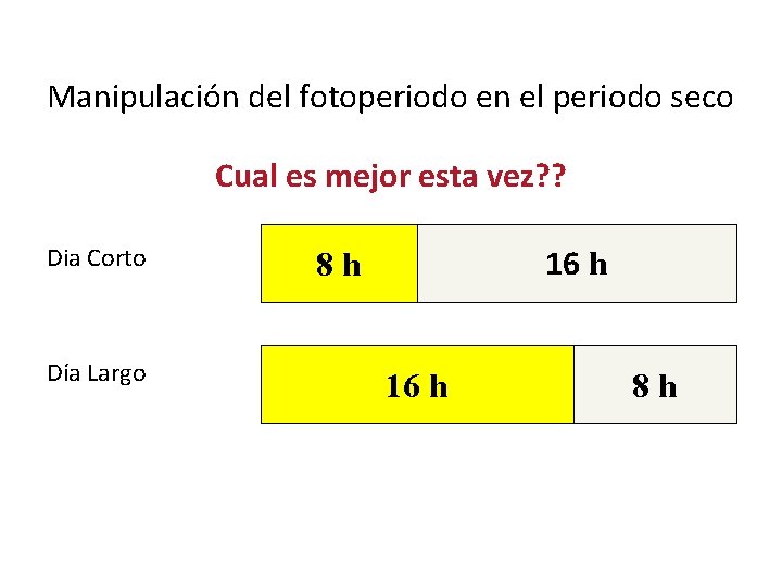 Manipulación del fotoperiodo en el periodo seco Cual es mejor esta vez? ? Dia