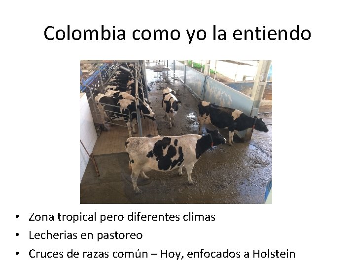 Colombia como yo la entiendo • Zona tropical pero diferentes climas • Lecherias en
