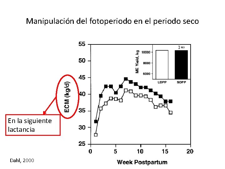 Manipulación del fotoperiodo en el periodo seco En la siguiente lactancia Dahl, 2000 