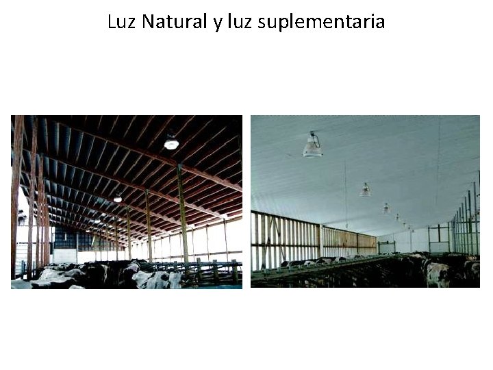 Luz Natural y luz suplementaria 