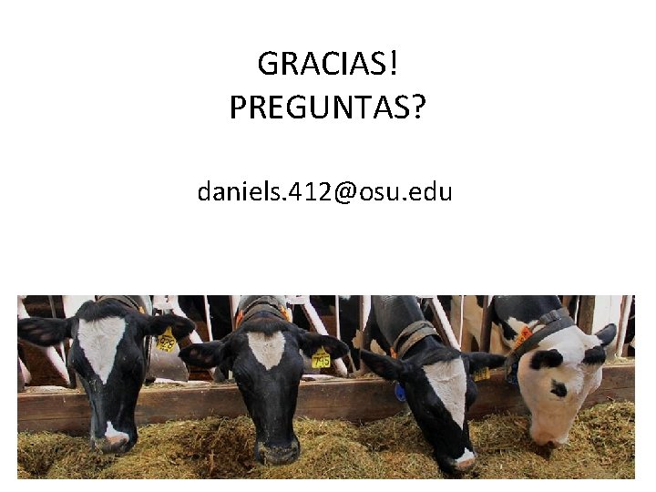 GRACIAS! PREGUNTAS? daniels. 412@osu. edu 