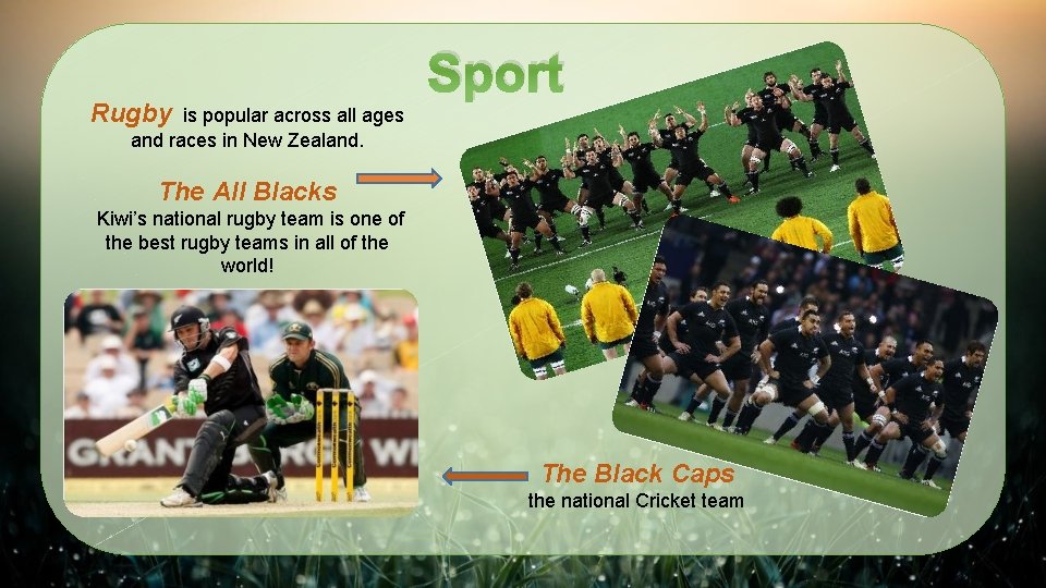Rugby is popular across all ages Sport and races in New Zealand. The All