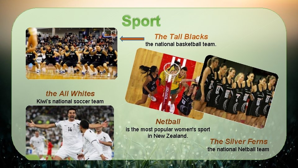 Sport The Tall Blacks the national basketball team. the All Whites Kiwi’s national soccer