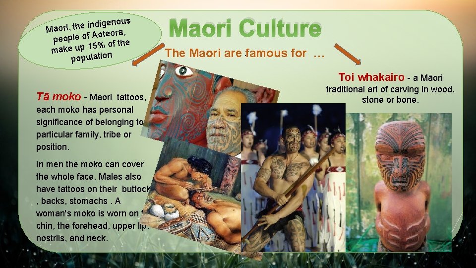 nous e ig d in e h t Maori, teora, o A f o