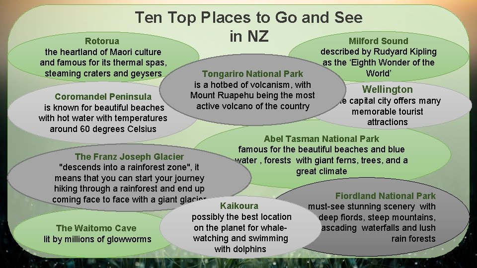 Ten Top Places to Go and See in NZ Milford Sound Rotorua the heartland