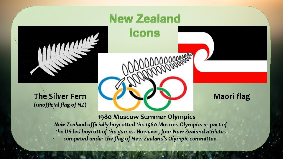 New Zealand Icons The Silver Fern Maori flag (unofficial flag of NZ) 1980 Moscow