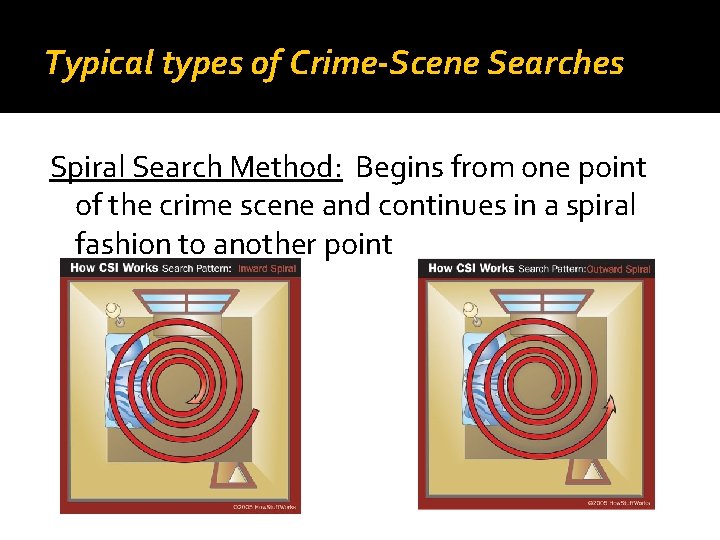 Typical types of Crime-Scene Searches Spiral Search Method: Begins from one point of the