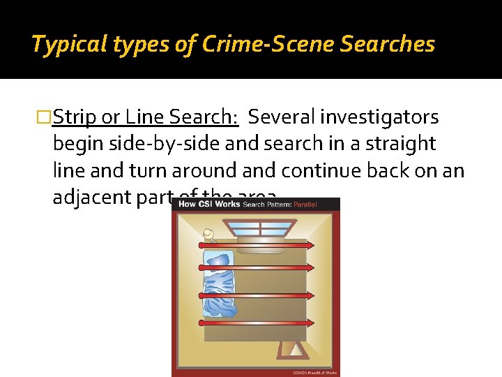 Typical types of Crime-Scene Searches �Strip or Line Search: Several investigators begin side-by-side and