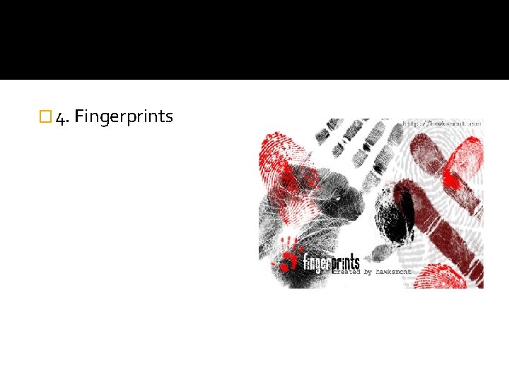 � 4. Fingerprints 