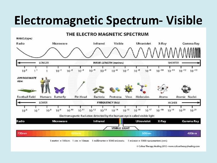 Electromagnetic Spectrum- Visible 