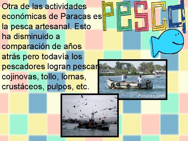Otra de las actividades económicas de Paracas es la pesca artesanal. Esto ha disminuido