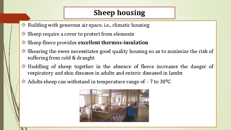 Sheep housing Building with generous air space, i. e. , climatic housing Sheep require