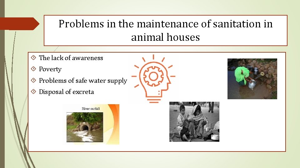 Problems in the maintenance of sanitation in animal houses The lack of awareness Poverty