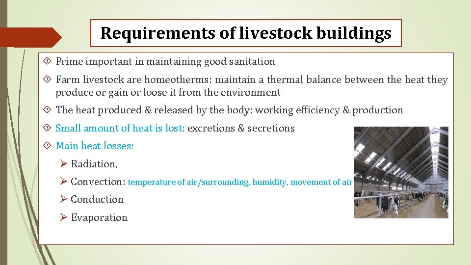 Requirements of livestock buildings Prime important in maintaining good sanitation Farm livestock are homeotherms: