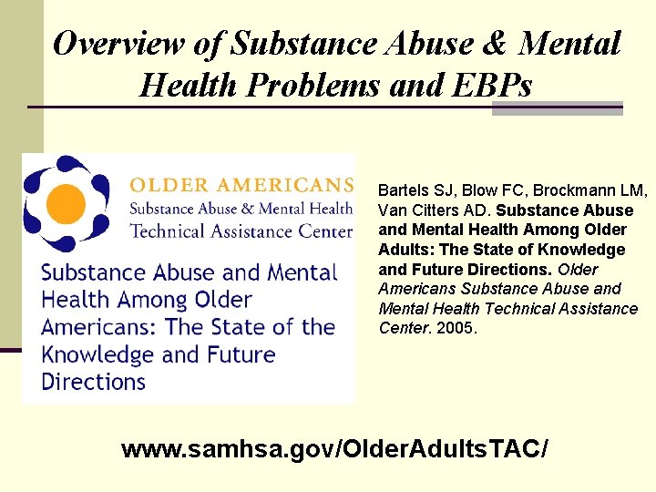 Overview of Substance Abuse & Mental Health Problems and EBPs Bartels SJ, Blow FC,