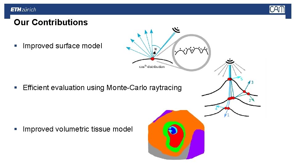 Our Contributions § Improved surface model § Efficient evaluation using Monte-Carlo raytracing § Improved