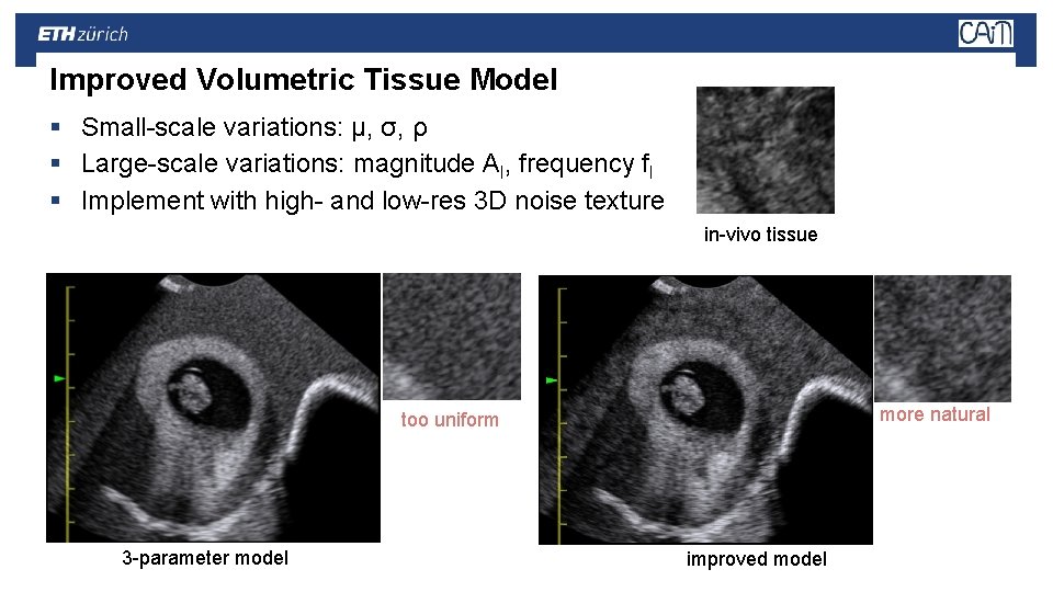 Improved Volumetric Tissue Model § Small-scale variations: μ, σ, ρ § Large-scale variations: magnitude