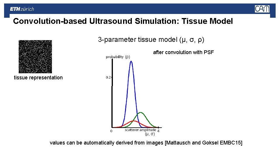Convolution-based Ultrasound Simulation: Tissue Model 3 -parameter tissue model (μ, σ, ρ) (ρ) after