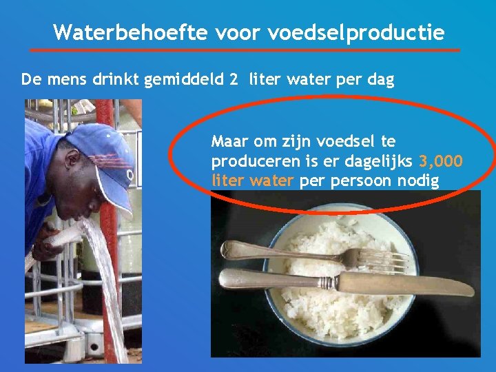 Waterbehoefte voor voedselproductie De mens drinkt gemiddeld 2 liter water per dag Maar om