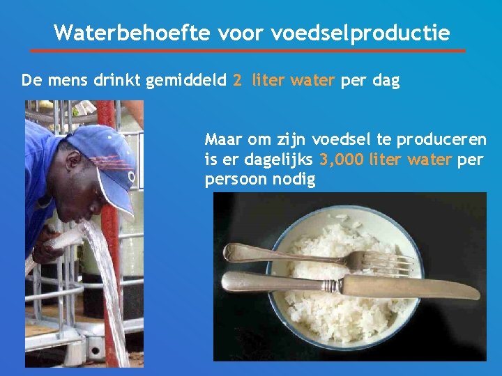 Waterbehoefte voor voedselproductie De mens drinkt gemiddeld 2 liter water per dag Maar om