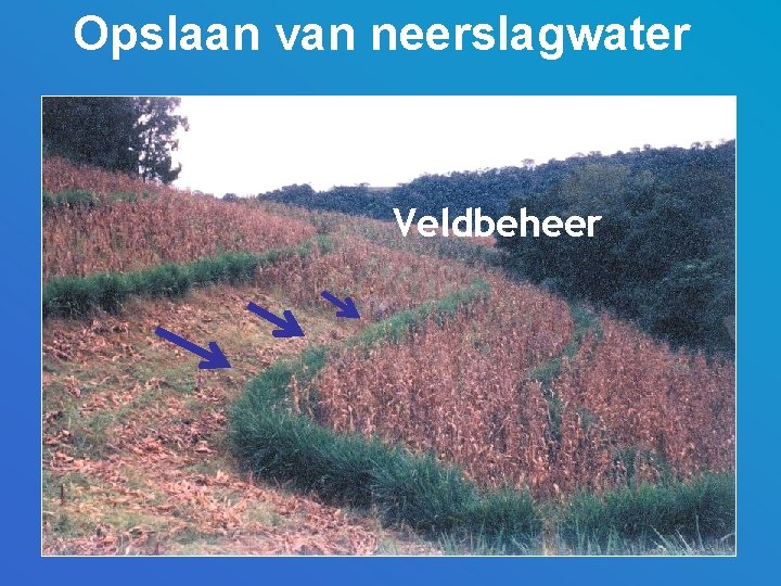 Opslaan van neerslagwater Veldbeheer 