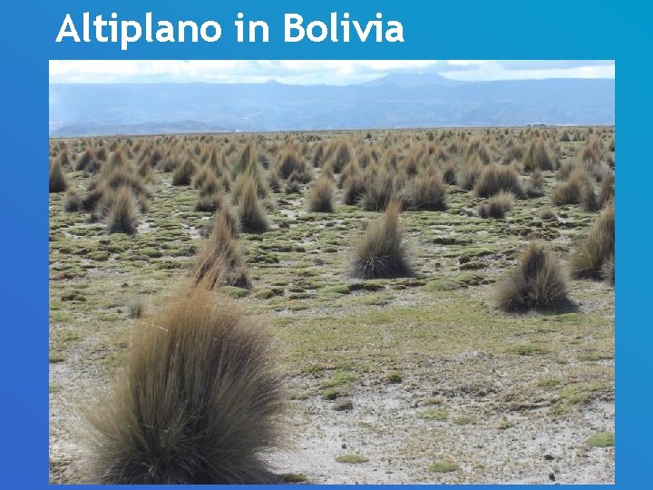Altiplano in Bolivia 