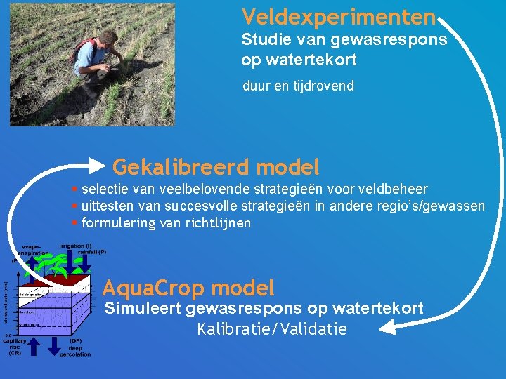 Veldexperimenten Studie van gewasrespons op watertekort duur en tijdrovend Gekalibreerd model § selectie van