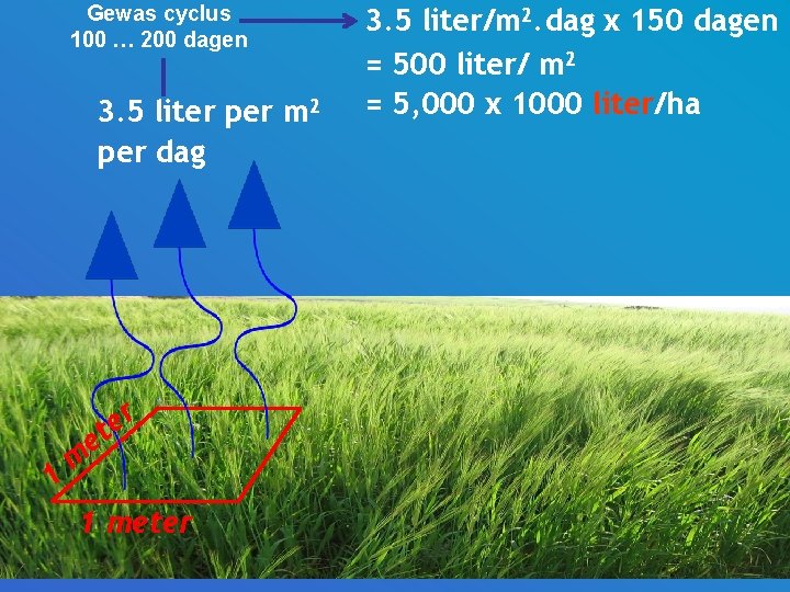 Gewas cyclus 100 … 200 dagen 3. 5 liter per m 2 per dag