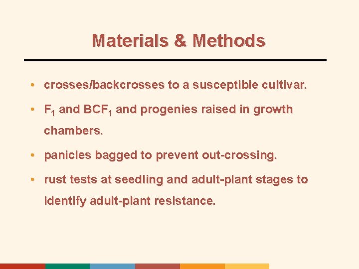 Materials & Methods • crosses/backcrosses to a susceptible cultivar. • F 1 and BCF