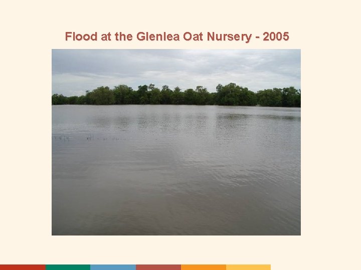 Flood at the Glenlea Oat Nursery - 2005 